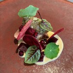 プレヴナンス - 