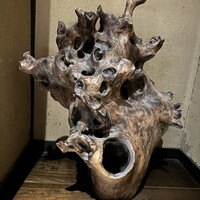 雪梅花 菜根譚 - 