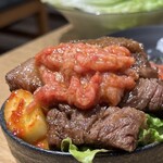 お肉一枚売りの焼肉店 焼肉とどろき - 