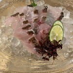 金沢炉端 魚界人 - 