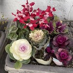 小さなパン小屋 一休 - 外観③