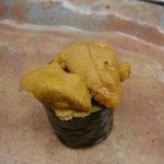 鮨おおしお  - 雲丹