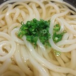 山下本気うどん - 