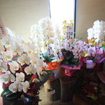 連理 - お祝いの花