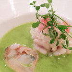 シック プッテートル - 