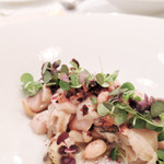 シック プッテートル - 