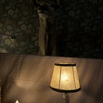 256nicom - 久々の剥製前