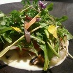 カセント - 8000円ランチ⑦サラダ アップ