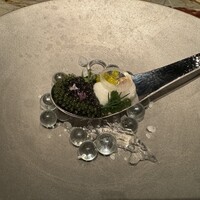 タパス モラキュラーバー - 