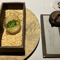 RiVi - 
