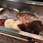 三陸鮮魚と炭焼牛たん かっこ - 