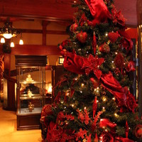 銀座うかい亭 - クリスマスシーズンで、ツリーがあってとっても華やか。