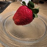 NIKUSYO taku ohira - 