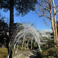 横浜うかい亭 - 