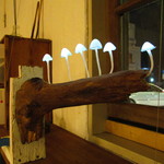 ねじまき雲（陽） - 店内