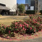 イマカツ 銀座店 - 