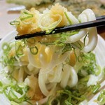 Udonkoubousanuki - 太麺です。コシは讃岐うどんとしてはそれほどでもない。