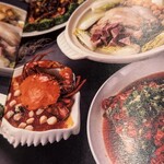 古北饕Goodbeitao - 