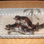 建仁寺 祇園 丸山 - 山女のつけだれ