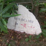 Bistro chef's table 一花 - 