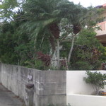 Bistro chef's table 一花 - 