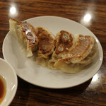 Kaisengyouzajanku - 晩酌セットの肉餃子