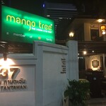 mango tree - 