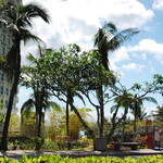 Charley's Philly Steaks - 