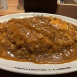 旨辛カレー専門店 白洋亭 - 