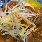 ヌードル＆スパイスカレー 今日の1番 - 