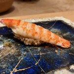 鮨 一二郎 - ピンとした姿勢の良い海老ちゃん。