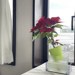 JiProign - 僕らはみんな生きている、生物の大半は酸素呼吸する。植物も根の部分は動物同様ミトコンドリアでブドウ糖を燃やして発電しているので、酸素濃度の低い水にどっぷり浸かると半日くらいで窒息して不可逆的に壊れる。