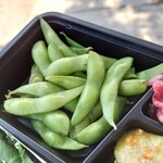 Sunny Blue - Edamame