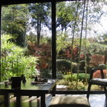 Soba Akitsu - お庭を見るにはいい季節、前より綺麗に整備されてます