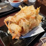 Shirakutei - 野菜かき揚げ