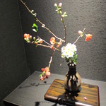 天雅 - いつものようにきれいなお花です。小さなサンタさん見えるかな？