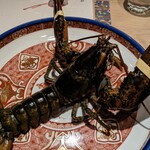 隠れ家鉄板おぶ - 活きオマール海老、寝ぼけた動き