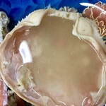 菊一 - 甲羅酒！幸！