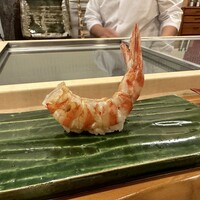 赤吉 - クルマエビ