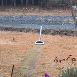 くつきそば 永昌庵 - 