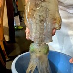 イカセンター新宿総本店 - 