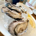 オーシャン ハーベスト ココモ - 