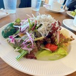 オーシャン ハーベスト ココモ - 