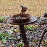 くつきそば 永昌庵 - 