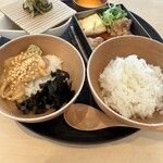 茶洒 金田中 - 鯛茶漬けと焼き鳥