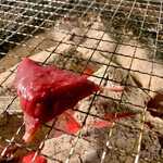 士別バーベキュー - 