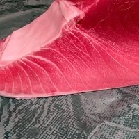 本鮪