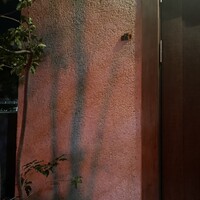 bb9 - 