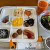 国民宿舎　鵜の岬 - 料理写真:料理とサラダ