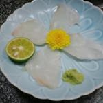 大海 - クエの刺身